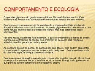 COMPORTAMENTO E ECOLOGIA
Os pandas gigantes são geralmente solitários. Cada adulto tem um território
definido e as fêmeas não são tolerantes com outras fêmeas em seu território.
Pandas se comunicam através de vocalização e marcam território aranhando
árvores e urinando nas suas fronteiras. O panda gigante é capaz de escalar e usar
como refúgio árvores ocas ou fendas de rochas, mas não estabelece tocas
permanentes.
Por esta razão, os pandas não hibernam, o que é semelhante ao hábito de outros
mamíferos subtropicais da região, que preferem se deslocar para regiões e
altitudes com temperaturas mais quentes.
Ao contrário do que se pensa, os pandas não são dóceis, eles podem apresentar
comportamento agressivo, sendo, então, muito perigosos . Pandas utilizam mais
da memória espacial do que da memória visual.
Pandas eram considerados na categoria crepuscular aqueles que são ativos duas
vezes por dia, ao amanhecer e entardecer, no entanto, Zhang Jindong descobriu
que pandas podem pertencer a uma categoria própria
 