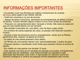 INFORMAÇÕES IMPORTANTES
- Os pandas vivem nas florestas da regiões montanhosas do sudeste
da China (esta região é seu habitat natural).
- Vivem em cavernas e no oco de árvores.
- Apesar de serem carnívoros, alimentam-se principalmente de folhas e brotos
de bambu. Comem também alguns insetos e ovos como fontes de proteínas.
- Possuem um comportamento dócil, tranquilo e tímido. São raros os casos em
que um urso panda atacou um ser humano.
- São também chamados de: urso felino, urso de faixa e gato ursino.
- Ao contrário de outras espécies de ursos, os pandas não hibernam durante o
inverso.
- Durante a fase da primavera ocorre o acasalamento, sendo que os filhotes,
geralmente dois, nascem na época do inverno.
- As patas do urso panda possuem cinco dedos.
- Os filhotes de urso panda nascem com, aproximadamente, 2 quilos de peso.
- Possuem dentes e mandíbulas muito fortes para poderem triturar os brotos de
bambu.
- Em média um urso panda vive durante 12 anos.
- Esta espécie encontra-se em situação de extinção provocada, principalmente,
pela baixa taxa de natalidade, caça indiscriminada (no passado) e pela
destruição das florestas onde vivem. A reprodução em cativeiro ocorre em
diversos zoológicos e centros de pesquisa animal espalhados pelo mundo.
 