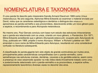 NOMENCLATURA E TAXONOMIA
O urso panda foi descrito pelo missionário francês Armand David em 1869 como Ursus
melanoleucus. No ano seguinte, Alphonse Milne-Edwards ao examinar o material enviado por
David, notou que os caracteres osteológicos e dentários o distinguia dos ursos e o
aproximava ao panda-vermelho e aos procionídeos, descrevendo então um novo gênero para
a espécie, e recombinando-a para Ailuropoda melanoleuca.
No mesmo ano, Paul Gervais concluiu com base num estudo das estruturas intracranianas
que o panda era relacionado com os ursos, criando um novo gênero, o Pandarctos. Em 1871,
Milne-Edwards acreditando que o gênero Ailuropoda estava pré- ocupado pelo Aeluropoda de
Gray, publicado em 1869, propõe o nome Ailuropus. William e Richard Lydekker em 1891
emendam o novo nome de Milne-Edwards para Aeluropus, resultando em uma considerável
confusão na literatura subsequente.
A classificação do panda-gigante tem sido objeto de grande controvérsia por muitos anos,
principalmente pelas características compartilhadas com o panda-vermelho, como
semelhanças nas estruturas craniais, dentárias, viscerais e da genitália externa, assim como
a presença do osso sesamoide opositor na mão (falso-dedo).Inicialmente tratado como urso,
e posteriormente relacionado com o panda-vermelho e os procionídeos, a espécie sofreu
reposicionamento taxonômico diversas vezes no decorrer dos anos.
 