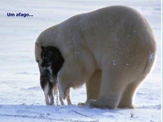 Um afago... 