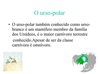 O urso-polar O urso-polar também conhecido como urso-branco é um mamífero membro da família dos Ursídeos, é o maior carnívoro terrestre conhecido.Apesar de ser da classe carnívora é omnívoro.  