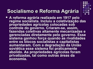 Socialismo e Reforma AgráriaSocialismo e Reforma Agrária
 A reforma agrária realizada em 1917 pelo
regime socialista. Incluiu a coletivização das
propriedades agrícolas colocadas sob
controle do governo. Criaram-se, assim,
fazendas coletivas altamente mecanizadas e
gerenciadas diretamente pelo governo. Esse
sistema ganhou força quando as rivalidades
entre os blocos socialistas e capitalistas
aumentaram. Com a degradação da União
soviética esse sistema foi praticamente
abolido. As propriedades agrícolas foram
privatizadas, tal como outras áreas da
economia.
 