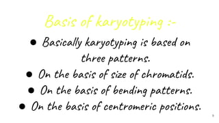 9
Basis of karyotyping :-
● Basically karyotyping is based on
three patterns.
● On the basis of size of chromatids.
● On the basis of bending patterns.
● On the basis of centromeric positions.
 