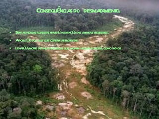 Consequências do  desmatamento.   Sem as nossas florestas haverá a extinção dos animais silvestres .  A poluição dos rios que cortam as florestas . Levará a morte de muita pessoas que moram nessas floresta, como índios . 