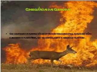 Consequências   das Queimadas   Com a queima de das floresta,o gás que sai delas em forma gasosa polui a camada de ozônio e atmosferas do planeta Terra , com isso matando a todos os animais que nelas vivem  .  