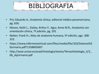 BIBLIOGRAFIA 
• Pró, Eduardo A.; Anatomía clínica, editorial médica panamericana, 
pg. 626. 
• Moore, Keith L., Dailey, Arthur F., Agur, Anne M.R.; Anatomía con 
orientación clínica, 7ª edición, pg. 291 
• Netter, Frank H.; Atlas de anatomía humana, 5ª edición, pgs. 308- 
322. 
• https://www.infermeravirtual.com/files/media/file/103/Sistema%2 
0urinario.pdf?1358605607 
• http://wzar.unizar.es/acad/histologia/textos/TemasHistologia_II/2_ 
06_ApUrinario.pdf 
