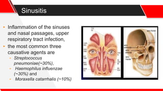 Sinusitis
▸ Inflammation of the sinuses
and nasal passages, upper
respiratory tract infection,
▸ the most common three
causative agents are
▹ Streptococcus
pneumoniae(~30%),
▹ Haemophilus influenzae
(~30%) and
▹ Moraxella catarrhalis (~10%)
 