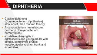 DIPHTHERIA
▸ Classic diphtheria
(Corynebacterium diphtheriae):
slow onset, then marked toxicity
▸ Arcanobacterium hemolyticum
(formerly Cornyebacterium
hemolyticum)
▸ exudative pharyngitis in
adolescents and young adults with
diffuse, sometimes pruritic
maculopapular rash on trunk and
extremities
 