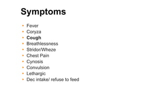 Symptoms
▸ Fever
▸ Coryza
▸ Cough
▸ Breathlessness
▸ Stridor/Wheze
▸ Chest Pain
▸ Cynosis
▸ Convulsion
▸ Lethargic
▸ Dec intake/ refuse to feed
 