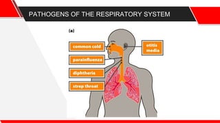 PATHOGENS OF THE RESPIRATORY SYSTEM
 