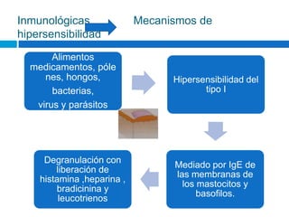Inmunológicas               Mecanismos de
hipersensibilidad
       Alimentos
  medicamentos, póle
     nes, hongos,                 Hipersensibilidad del
       bacterias,                        tipo I
   virus y parásitos




     Degranulación con
                                  Mediado por IgE de
        liberación de
                                  las membranas de
    histamina ,heparina ,
                                    los mastocitos y
        bradicinina y
                                        basofilos.
         leucotrienos
 