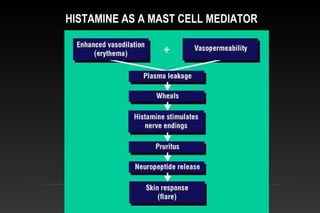 HISTAMINE AS A MAST CELL MEDIATOR
 