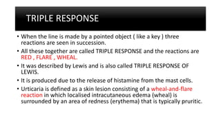 TRIPLE RESPONSE
• When the line is made by a pointed object ( like a key ) three
reactions are seen in succession.
• All these together are called TRIPLE RESPONSE and the reactions are
RED , FLARE , WHEAL.
• It was described by Lewis and is also called TRIPLE RESPONSE OF
LEWIS.
• It is produced due to the release of histamine from the mast cells.
• Urticaria is defined as a skin lesion consisting of a wheal-and-flare
reaction in which Iocalised intracutaneous edema (wheal) is
surrounded by an area of redness (erythema) that is typically pruritic.
 