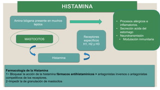 Amina biógena presente en muchos
tejidos
• Procesos alérgicos e
inflamatorios.
• Secreción acida del
estomago
• Neurotransmisión
• Modulación inmunitariaMASTOCITOS
Histamina
Receptores
específicos
H1, H2 y H3
Farmacología de la Histamina
1~ Bloquear la acción de la histamina fármacos antihistamínicos > antagonistas inversos o antagonistas
competitivos de los receptores.
2~Impedir la de granulación de mastocitos
 