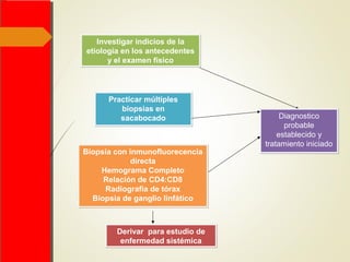 Investigar indicios de la
etiología en los antecedentes
y el examen físico
Investigar indicios de la
etiología en los antecedentes
y el examen físico
Practicar múltiples
biopsias en
sacabocado
Practicar múltiples
biopsias en
sacabocado Diagnostico
probable
establecido y
tratamiento iniciado
Diagnostico
probable
establecido y
tratamiento iniciado
Derivar para estudio de
enfermedad sistémica
Derivar para estudio de
enfermedad sistémica
Biopsia con inmunofluorecencia
directa
Hemograma Completo
Relación de CD4:CD8
Radiografía de tórax
Biopsia de ganglio linfático
Biopsia con inmunofluorecencia
directa
Hemograma Completo
Relación de CD4:CD8
Radiografía de tórax
Biopsia de ganglio linfático
 