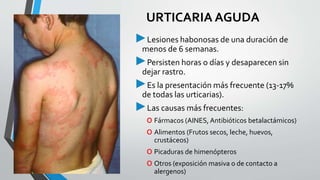 URTICARIA AGUDA 
►Lesiones habonosas de una duración de 
menos de 6 semanas. 
►Persisten horas o días y desaparecen sin 
dejar rastro. 
►Es la presentación más frecuente (13-17% 
de todas las urticarias). 
►Las causas más frecuentes: 
o Fármacos (AINES, Antibióticos betalactámicos) 
o Alimentos (Frutos secos, leche, huevos, 
crustáceos) 
o Picaduras de himenópteros 
o Otros (exposición masiva o de contacto a 
alergenos) 
 