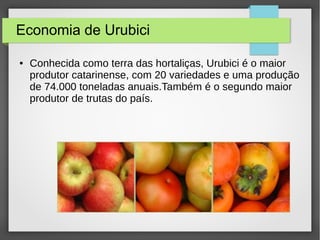 Economia de Urubici
● Conhecida como terra das hortaliças, Urubici é o maior
produtor catarinense, com 20 variedades e uma produção
de 74.000 toneladas anuais.Também é o segundo maior
produtor de trutas do país.
 