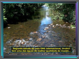 Segundo estudo de uma ONG internacional, Urubici tem uma das águas de melhor qualidade do mundo… 