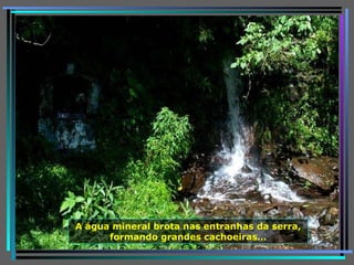 A água mineral brota nas entranhas da serra, formando grandes cachoeiras… 