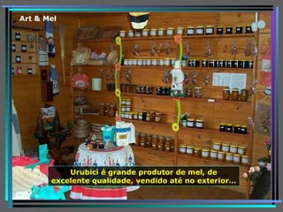 Urubici é grande produtor de mel, de excelente qualidade, vendido até no exterior… Art & Mel 