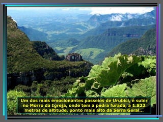 Um dos mais emocionantes passeios de Urubici, é subir no Morro da Igreja, onde tem a pedra furada, a 1.822 metros de altitude, ponto mais alto da Serra Geral… 
