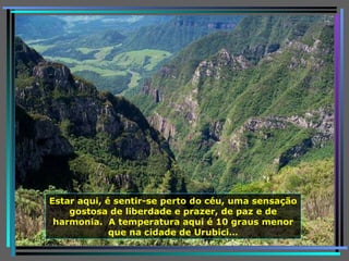 Estar aqui, é sentir-se perto do céu, uma sensação gostosa de liberdade e prazer, de paz e de harmonia.  A temperatura aqui é 10 graus menor que na cidade de Urubici… 