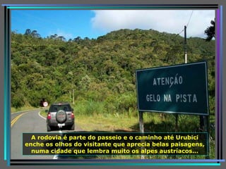 A rodovia é parte do passeio e o caminho até Urubici enche os olhos do visitante que aprecia belas paisagens, numa cidade que lembra muito os alpes austríacos... 