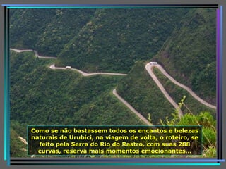 Como se não bastassem todos os encantos e belezas naturais de Urubici, na viagem de volta, o roteiro, se feito pela Serra do Rio do Rastro, com suas 288 curvas, reserva mais momentos emocionantes… 