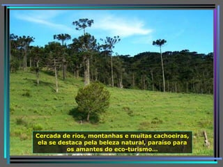 Cercada de rios, montanhas e muitas cachoeiras, ela se destaca pela beleza natural, paraíso para os amantes do eco-turismo… 