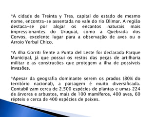 *A cidade de Treinta y Tres, capital do estado de mesmo
nome, encontra-se assentada no vale do rio Olimar. A região
destaca-se por alojar os encantos naturais mais
impressionantes do Uruguai, como a Quebrada dos
Corvos, excelente lugar para a observação de aves ou o
Arroio Yerbal Chico.

*A ilha Gorriti frente a Punta del Leste foi declarada Parque
Municipal, já que possui os restos das peças de artilharia
militar e as construcões que protegem a ilha de possíveis
invasões.

*Apesar da geografia dominante serem os prados (80% do
território nacional), a paisagem é muito diversificada.
Contabilizam cerca de 2.500 espécies de plantas e umas 224
de árvores e arbustos, mais de 100 mamíferos, 400 aves, 60
répteis e cerca de 400 espécies de peixes.
 