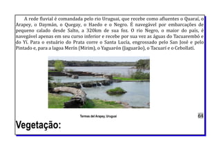 A rede fluvial é comandada pelo rio Uruguai, que recebe como afluentes o Quaraí, o
Arapey, o Daymán, o Quegay, o Haedo e o Negro. É navegável por embarcações de
pequeno calado desde Salto, a 320km de sua foz. O rio Negro, o maior do país, é
navegável apenas em seu curso inferior e recebe por sua vez as águas do Tacuarembó e
do Yí. Para o estuário do Prata corre o Santa Lucía, engrossado pelo San José e pelo
Pintado e, para a lagoa Merín (Mirim), o Yaguarón (Jaguarão), o Tacuarí e o Cebollatí.
Termas del Arapey, Uruguai 64
Vegetação:
 