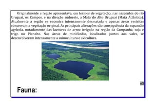 Originalmente a região apresentava, em termos de vegetação, nas nascentes do rio
Uruguai, os Campos, e na direção sudoeste, a Mata do Alto Uruguai (Mata Atlântica).
Atualmente a região se encontra intensamente desmatada e apenas áreas restritas
conservam a vegetação original. As principais alterações são consequência da expansão
agrícola, notadamente das lavouras de arroz irrigado na região da Campanha, soja e
trigo no Planalto. Nas áreas de minifúndio, localizados juntos aos vales, se
desenvolveram intensamente a suinocultura e avicultura.
65
Fauna:
 