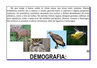 No que tange à fauna, ainda se vêem onças nas áreas mais remotas. Outros
mamíferos nativos são a raposa, o veado, gato-do-mato, a capivara e alguns pequenos
roedores. Os mamíferos marinhos abundam nas rochas e ilhotas desabitadas da costa
atlântica, como a Isla de Lobos. No mesmo litoral, lagoas abrigam grandes colônias de
aves aquáticas, como o pato-real. Há também periquitos, abutres, corujas e flamingos.
São comuns as aranhas e cobras venenosas, além de lagartos e tartarugas.
66
DEMOGRAFIA:
 
