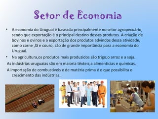 Setor de Economia
• A economia do Uruguai é baseada principalmente no setor agropecuário,
sendo que exportação é o principal destino desses produtos. A criação de
bovinos e ovinos e a exportação dos produtos advindos dessa atividade,
como carne ,lã e couro, são de grande importância para a economia do
Uruguai.
• Na agricultura,os produtos mais produzidos são trigo;o arroz e a soja.
As indústrias uruguaias são em maioria têxteis;a alimentícias e químicas.
A importação de combustíveis e de matéria prima é o que possibilita o
crescimento das indústrias.
 