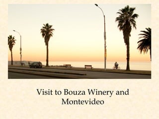 Visit to Bouza Winery and Montevideo 
