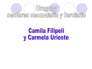 Uruguay sectores secundario y terciario Camila Filipeli y Carmela Urioste 
