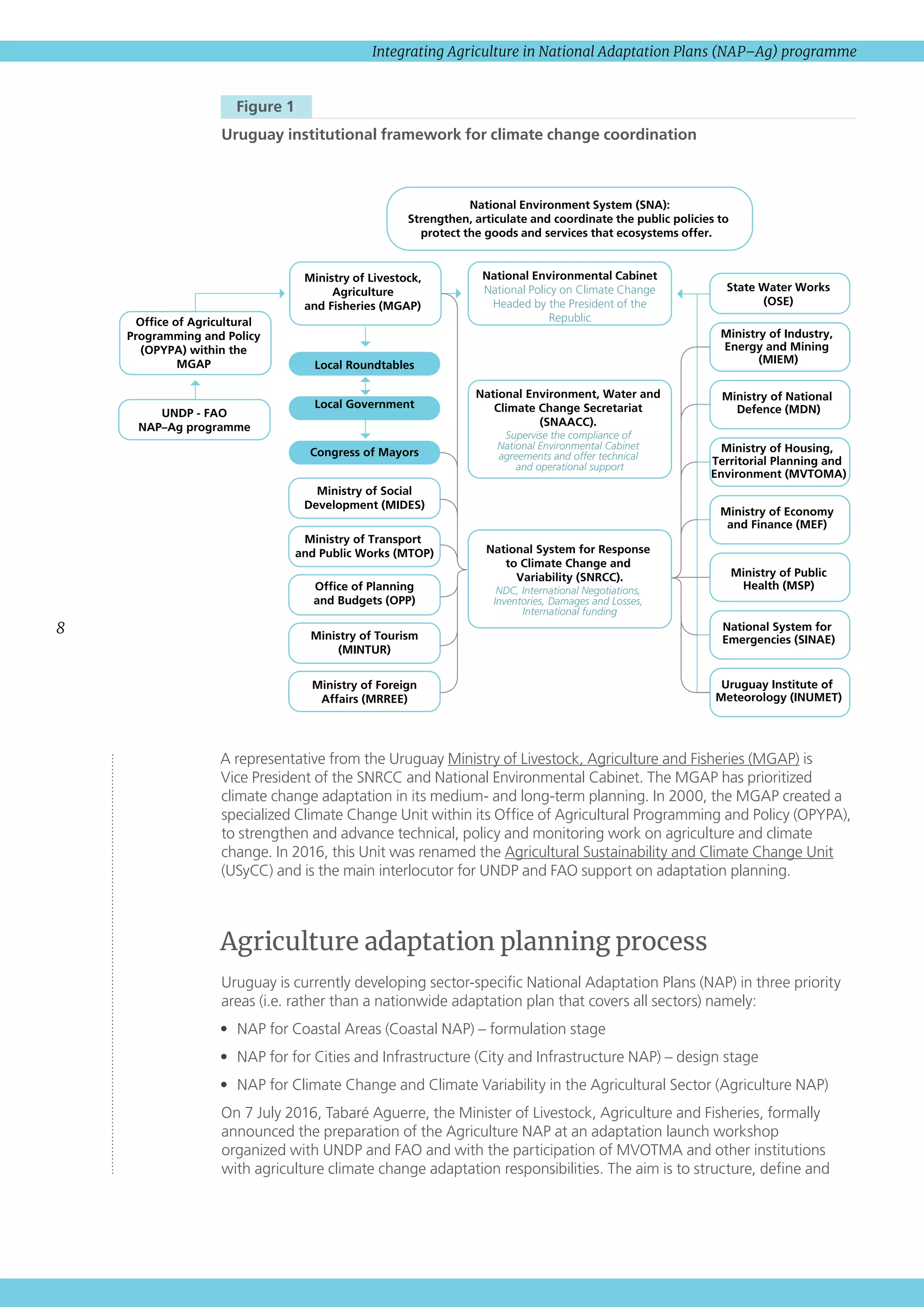 8
Integrating Agriculture in National Adaptation Plans (NAP–Ag) programme
  Figure 1 
Uruguay institutional framework for climate change coordination
A representative from the Uruguay Ministry of Livestock, Agriculture and Fisheries (MGAP) is
Vice President of the SNRCC and National Environmental Cabinet. The MGAP has prioritized
climate change adaptation in its medium- and long-term planning. In 2000, the MGAP created a
specialized Climate Change Unit within its Office of Agricultural Programming and Policy (OPYPA),
to strengthen and advance technical, policy and monitoring work on agriculture and climate
change. In 2016, this Unit was renamed the Agricultural Sustainability and Climate Change Unit
(USyCC) and is the main interlocutor for UNDP and FAO support on adaptation planning.
Agriculture adaptation planning process
Uruguay is currently developing sector-specific National Adaptation Plans (NAP) in three priority
areas (i.e. rather than a nationwide adaptation plan that covers all sectors) namely:
•	 NAP for Coastal Areas (Coastal NAP) – formulation stage
•	 NAP for for Cities and Infrastructure (City and Infrastructure NAP) – design stage
•	 NAP for Climate Change and Climate Variability in the Agricultural Sector (Agriculture NAP)
On 7 July 2016, Tabaré Aguerre, the Minister of Livestock, Agriculture and Fisheries, formally
announced the preparation of the Agriculture NAP at an adaptation launch workshop
organized with UNDP and FAO and with the participation of MVOTMA and other institutions
with agriculture climate change adaptation responsibilities. The aim is to structure, define and
Ministry of Livestock,
Agriculture
and Fisheries (MGAP)
Ofﬁce of Agricultural
Programming and Policy
(OPYPA) within the
MGAP
State Water Works
(OSE)
Local Roundtables
Local Government
Congress of Mayors
Ministry of Social
Development (MIDES)
Ministry of Transport
and Public Works (MTOP)
Ofﬁce of Planning
and Budgets (OPP)
Ministry of Tourism
(MINTUR)
Ministry of Foreign
Affairs (MRREE)
UNDP - FAO
NAP–Ag programme
Ministry of Industry,
Energy and Mining
(MIEM)
Ministry of National
Defence (MDN)
Ministry of Housing,
Territorial Planning and
Environment (MVTOMA)
Ministry of Economy
and Finance (MEF)
Ministry of Public
Health (MSP)
National System for
Emergencies (SINAE)
Uruguay Institute of
Meteorology (INUMET)
National Environmental Cabinet
National Policy on Climate Change
Headed by the President of the
Republic
National Environment, Water and
Climate Change Secretariat
(SNAACC).
Supervise the compliance of
National Environmental Cabinet
agreements and offer technical
and operational support
National System for Response
to Climate Change and
Variability (SNRCC).
NDC, International Negotiations,
Inventories, Damages and Losses,
International funding
National Environment System (SNA):
Strengthen, articulate and coordinate the public policies to
protect the goods and services that ecosystems offer.
 