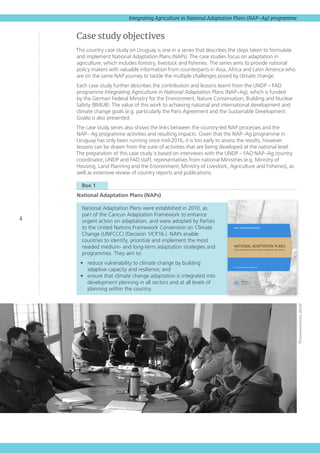 4
Integrating Agriculture in National Adaptation Plans (NAP–Ag) programme
Case study objectives
This country case study on Uruguay is one in a series that describes the steps taken to formulate
and implement National Adaptation Plans (NAPs). The case studies focus on adaptation in
agriculture, which includes forestry, livestock and fisheries. The series aims to provide national
policy makers with valuable information from counterparts in Asia, Africa and Latin America who
are on the same NAP journey to tackle the multiple challenges posed by climate change.
Each case study further describes the contribution and lessons learnt from the UNDP – FAO
programme Integrating Agriculture in National Adaptation Plans (NAP–Ag), which is funded
by the German Federal Ministry for the Environment, Nature Conservation, Building and Nuclear
Safety (BMUB). The value of this work to achieving national and international development and
climate change goals (e.g. particularly the Paris Agreement and the Sustainable Development
Goals) is also presented.
The case study series also shows the links between the country-led NAP processes and the
NAP– Ag programme activities and resulting impacts. Given that the NAP–Ag programme in
Uruguay has only been running since mid-2016, it is too early to assess the results, however
lessons can be drawn from the suite of activities that are being developed at the national level.
The preparation of this case study is based on interviews with the UNDP – FAO NAP–Ag country
coordinator, UNDP and FAO staff, representatives from national Ministries (e.g. Ministry of
Housing, Land Planning and the Environment; Ministry of Livestock, Agriculture and Fisheries), as
well as extensive review of country reports and publications.
  Box 1 
National Adaptation Plans (NAPs)
National Adaptation Plans were established in 2010, as
part of the Cancun Adaptation Framework to enhance
urgent action on adaptation, and were adopted by Parties
to the United Nations Framework Convention on Climate
Change (UNFCCC) (Decision 1/CP.16.). NAPs enable
countries to identify, prioritize and implement the most
needed medium- and long-term adaptation strategies and
programmes. They aim to:
•	 reduce vulnerability to climate change by building
adaptive capacity and resilience; and
•	 ensure that climate change adaptation is integrated into
development planning in all sectors and at all levels of
planning within the country.
©Communications,MGAP
Least DeveLopeD Countries
LDC ExpErt Group, DECEMBEr 2012
NATIONAL ADAPTATION PLANS
Technical guidelines for the national adaptation plan process
 