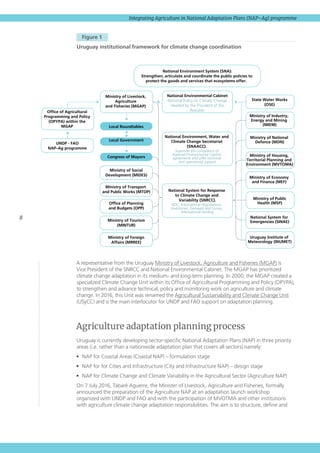 8
Integrating Agriculture in National Adaptation Plans (NAP–Ag) programme
  Figure 1 
Uruguay institutional framework for climate change coordination
A representative from the Uruguay Ministry of Livestock, Agriculture and Fisheries (MGAP) is
Vice President of the SNRCC and National Environmental Cabinet. The MGAP has prioritized
climate change adaptation in its medium- and long-term planning. In 2000, the MGAP created a
specialized Climate Change Unit within its Office of Agricultural Programming and Policy (OPYPA),
to strengthen and advance technical, policy and monitoring work on agriculture and climate
change. In 2016, this Unit was renamed the Agricultural Sustainability and Climate Change Unit
(USyCC) and is the main interlocutor for UNDP and FAO support on adaptation planning.
Agriculture adaptation planning process
Uruguay is currently developing sector-specific National Adaptation Plans (NAP) in three priority
areas (i.e. rather than a nationwide adaptation plan that covers all sectors) namely:
•	 NAP for Coastal Areas (Coastal NAP) – formulation stage
•	 NAP for for Cities and Infrastructure (City and Infrastructure NAP) – design stage
•	 NAP for Climate Change and Climate Variability in the Agricultural Sector (Agriculture NAP)
On 7 July 2016, Tabaré Aguerre, the Minister of Livestock, Agriculture and Fisheries, formally
announced the preparation of the Agriculture NAP at an adaptation launch workshop
organized with UNDP and FAO and with the participation of MVOTMA and other institutions
with agriculture climate change adaptation responsibilities. The aim is to structure, define and
Ministry of Livestock,
Agriculture
and Fisheries (MGAP)
Ofﬁce of Agricultural
Programming and Policy
(OPYPA) within the
MGAP
State Water Works
(OSE)
Local Roundtables
Local Government
Congress of Mayors
Ministry of Social
Development (MIDES)
Ministry of Transport
and Public Works (MTOP)
Ofﬁce of Planning
and Budgets (OPP)
Ministry of Tourism
(MINTUR)
Ministry of Foreign
Affairs (MRREE)
UNDP - FAO
NAP–Ag programme
Ministry of Industry,
Energy and Mining
(MIEM)
Ministry of National
Defence (MDN)
Ministry of Housing,
Territorial Planning and
Environment (MVTOMA)
Ministry of Economy
and Finance (MEF)
Ministry of Public
Health (MSP)
National System for
Emergencies (SINAE)
Uruguay Institute of
Meteorology (INUMET)
National Environmental Cabinet
National Policy on Climate Change
Headed by the President of the
Republic
National Environment, Water and
Climate Change Secretariat
(SNAACC).
Supervise the compliance of
National Environmental Cabinet
agreements and offer technical
and operational support
National System for Response
to Climate Change and
Variability (SNRCC).
NDC, International Negotiations,
Inventories, Damages and Losses,
International funding
National Environment System (SNA):
Strengthen, articulate and coordinate the public policies to
protect the goods and services that ecosystems offer.
 