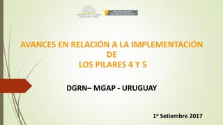 AVANCES EN RELACIÓN A LA IMPLEMENTACIÓN
DE
LOS PILARES 4 Y 5
DGRN– MGAP - URUGUAY
1o Setiembre 2017
 