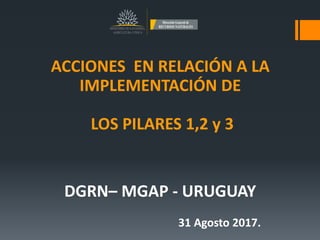 ACCIONES EN RELACIÓN A LA
IMPLEMENTACIÓN DE
LOS PILARES 1,2 y 3
DGRN– MGAP - URUGUAY
31 Agosto 2017.
 