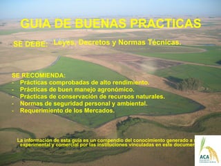 GUIA DE BUENAS PRACTICAS <ul><li>SE DEBE: </li></ul><ul><li>SE RECOMIENDA:  </li></ul><ul><li>Prácticas comprobadas de alt...