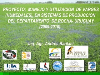 PROYECTO;  MANEJO Y UTILIZACION  DE VARGES (HUMEDALES), EN  SISTEMAS  DE PRODUCCION  DEL DEPARTAMENTO  DE ROCHA- URUGUAY (2009-2010).  Ing. Agr. Andrés Barilani 