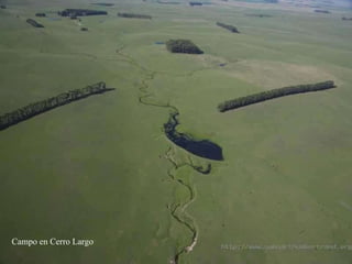 Campo en Cerro Largo 