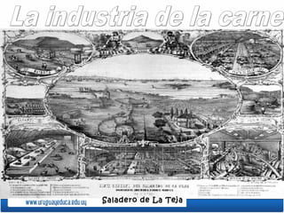 Saladero de La TejaSaladero de La Teja
 