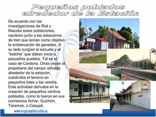De acuerdo con las
investigaciones de Rial y
Klaczko estas poblaciones,
nacieron junto a las estaciones
de tren que tenían como objetivo
la embarcación de ganados. A
su lado surgían la escuela y el
“boliche” que daban inicio a
pequeños pueblos. Tal es el
caso de Cardona. Otras veces el
propietario del campo ubicado
alrededor de la estación,
subdividía el terreno en
pequeños lotes y los vendía.
Esta actividad derivaba en la
creación de pequeños centros
poblados, como lo fueron en sus
comienzos Achar, Guichón,
Tarariras, o Casupá.
 