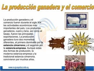 La producción ganadera y el
comercio fueron durante el siglo XIX
las actividades económicas más
importantes del país. Los productos
ganaderos, cuero y lana, así como el
tasajo, fueron las principales
exportaciones. La producción
ganadera tuvo dos momentos
diferentes, el primero dominado por la
estancia cimarronaestancia cimarrona y el segundo por
la estancia-empresaestancia-empresa. Aunque estas
dos formas de producción, la
moderna estancia-empresa y la
tradicional estancia cimarrona,
convivieron por muchos años.
 