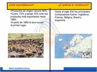 ¿Qué exportábamos? ¿A quiénes le vendíamos?¿Qué exportábamos? ¿A quiénes le vendíamos?
•Productos de origen vacuno 90%.
•Cuero 72% y tasajo 16% eran los
productos más exportados hasta
1880.
•A partir de 1880 la lana ocupó
el primer lugar.
Hasta el siglo XIX los principales
Compradores fueron: Inglaterra,
Francia, Bélgica, Brasil y
Argentina
 
