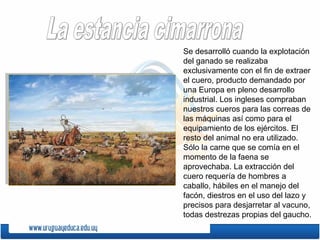 Se desarrolló cuando la explotación
del ganado se realizaba
exclusivamente con el fin de extraer
el cuero, producto demandado por
una Europa en pleno desarrollo
industrial. Los ingleses compraban
nuestros cueros para las correas de
las máquinas así como para el
equipamiento de los ejércitos. El
resto del animal no era utilizado.
Sólo la carne que se comía en el
momento de la faena se
aprovechaba. La extracción del
cuero requería de hombres a
caballo, hábiles en el manejo del
facón, diestros en el uso del lazo y
precisos para desjarretar al vacuno,
todas destrezas propias del gaucho.
 