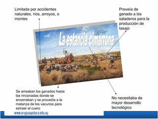 Limitada por accidentes
naturales, ríos, arroyos, o
montes
Se arreaban los ganados hasta
las rinconadas donde se
encerraban y se procedía a la
matanza de los vacunos para
extraer el cuero
No necesitaba de
mayor desarrollo
tecnológico
Proveía de
ganado a los
saladeros para la
producción de
tasajo
 
